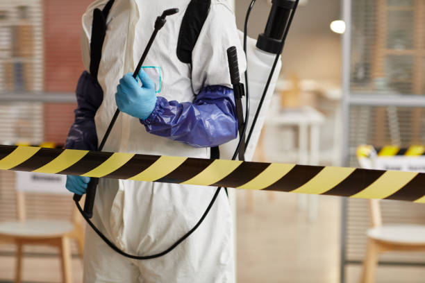 Professional Sewage Cleanup technician working in Coleman, TX